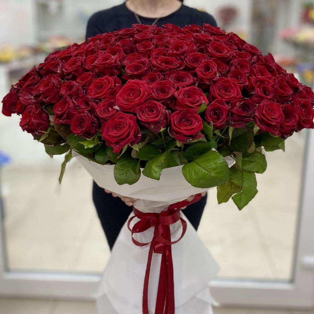 151 красная роза Premium 70 см.